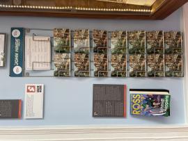 John Hinde Postcard Rack