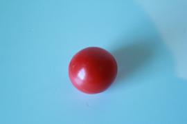 "Veronica Clowns " Red Nose
