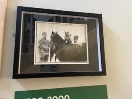 Perry Ogden's Pony Kids, Boys with Horse