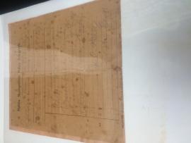 1916 Military Pass
