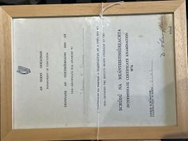 Tom Dunne's Inter Cert Results