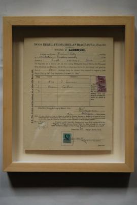 1912 Dog Licence