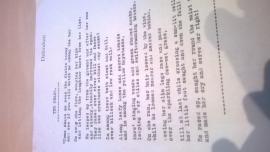 Christy Brown poem 'The Chase'