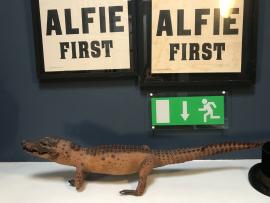 Stuffed Crocodile