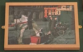 1955 Horse Drinking by Hulton Archive