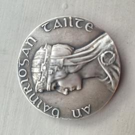 Stella Steyn Tailteann Games Medal
