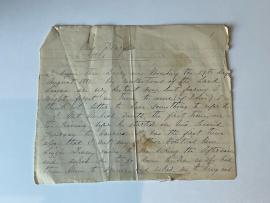 Ladies' Land League Diary Entry 1881