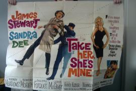 Take Her She's Mine film poster 1963